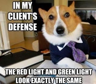 lawyer-dog-red-and-green